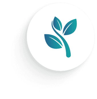 Leaves Icon